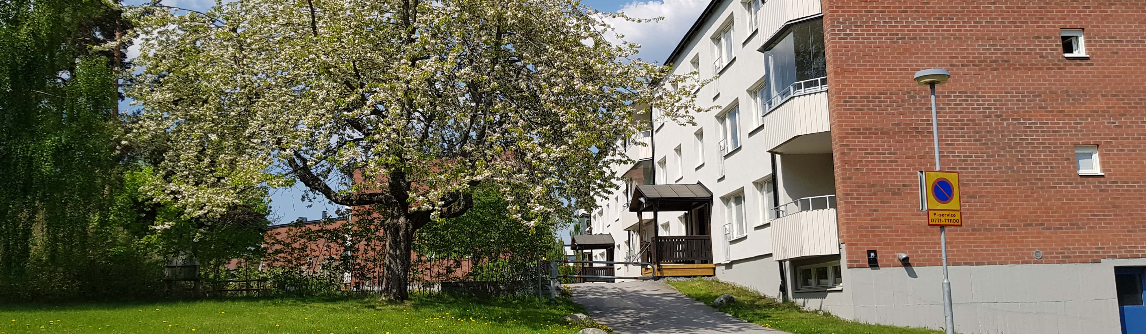 Gården på brf Höjden